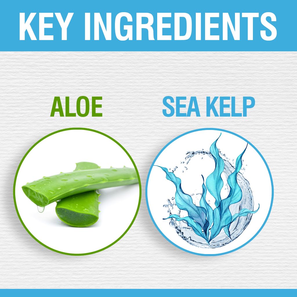 CHI HydrateCare Hydrating Conditioner, Balances Hair Moisture and Protects Against Damage and Hair Breakage, Sulfate, Paraben, & Cruelty-Free, 12 Oz